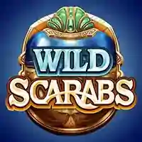 Wild Scarabs